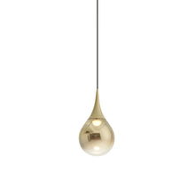 Load image into Gallery viewer, Paopao LED Pendant Light in Champagne Gold.