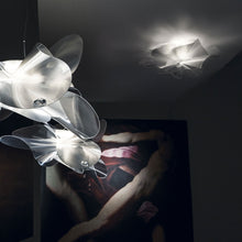Load image into Gallery viewer, Etoile LED Ceiling / Wall Light in exhibition.