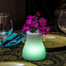 Load image into Gallery viewer, Olio Bluetooth Outdoor LED Table Lamp in Detail.