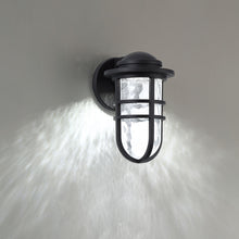 Load image into Gallery viewer, Steampunk Indoor/Outdoor LED Wall Light in Detail.