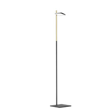 Load image into Gallery viewer, Talia LED Floor Lamp in Black/Brass.