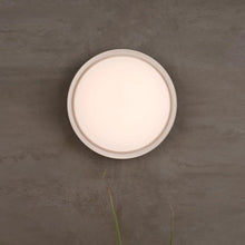 Load image into Gallery viewer, Cirque Outdoor Flush Mount Ceiling Light in Detail.