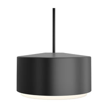 Load image into Gallery viewer, Roton Outdoor LED Pendant Light in Large/Black.