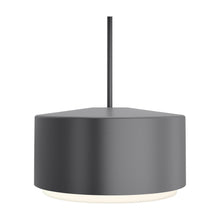 Load image into Gallery viewer, Roton Outdoor LED Pendant Light in Large/Charcoal.