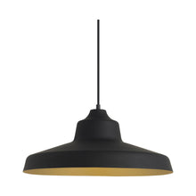 Load image into Gallery viewer, Zevo Pendant Light in Black/Gold.