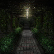 Load image into Gallery viewer, San Marcos Outdoor Pendant Light in Outside Area.