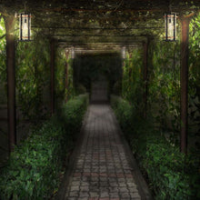 Load image into Gallery viewer, San Marcos Outdoor Pendant Light in Outside Area.