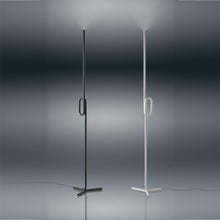 Load image into Gallery viewer, Tobia LED Floor Lamp in Black and White.