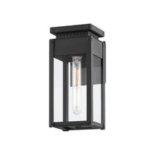 Load image into Gallery viewer, Braydan Outdoor Wall Light.