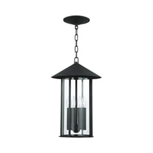 Load image into Gallery viewer, Long Beach Outdoor Pendant Light.