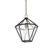 Load image into Gallery viewer, Moss Pendant Light.