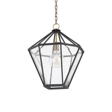 Load image into Gallery viewer, Moss Pendant Light (Large).