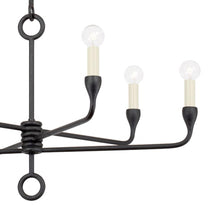 Load image into Gallery viewer, Orson Chandelier in Detail.