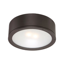 Load image into Gallery viewer, Tube LED Flush Mount Ceiling Light in Bronze (Large).