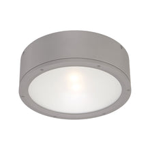 Load image into Gallery viewer, Tube LED Flush Mount Ceiling Light in Graphite (Large).