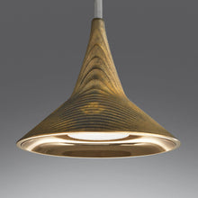 Load image into Gallery viewer, Unterlinden LED Pendant Light in Detail.