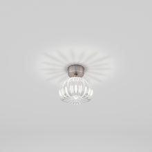 Load image into Gallery viewer, Diamante Spot Light in Detail.