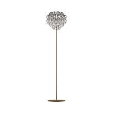 Load image into Gallery viewer, Giogali Floor Lamp in Matt Bronze/Crystal Silver.