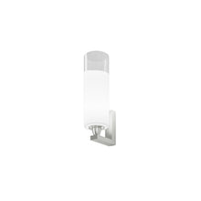 Load image into Gallery viewer, Lio Wall Light (9-Inch/1-Light).