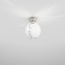 Load image into Gallery viewer, Poc Spot Light in Detail.
