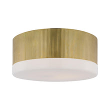 Load image into Gallery viewer, Ace LED Flush Mount Ceiling Light in Hand-Rubbed Antique Brass (Large).