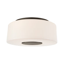 Load image into Gallery viewer, Acme Flush Mount Ceiling Light in Bronze (Large).