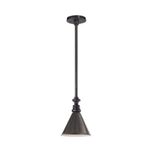 Load image into Gallery viewer, Boston Pendant Light in Bronze/Bronze Slant.