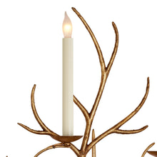 Load image into Gallery viewer, Branch Wall Light in Detail.
