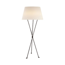 Load image into Gallery viewer, Lebon Floor Lamp in Aged Iron.