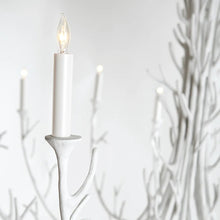 Load image into Gallery viewer, Silva Chandelier in Detail.