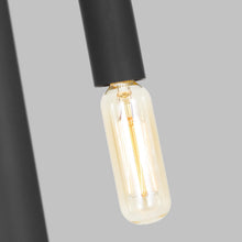 Load image into Gallery viewer, Hadden Chandelier in Detail.
