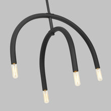 Load image into Gallery viewer, Hadden Chandelier in Detail.