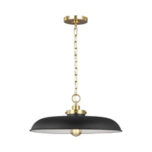 Load image into Gallery viewer, Wellfleet Pendant Light in Detail.