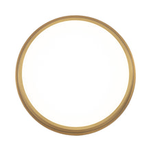 Load image into Gallery viewer, York LED Ceiling/Wall Light in Detail.