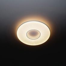 Load image into Gallery viewer, Iris LED Flush Mount Ceiling Light in Detail.
