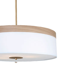 Load image into Gallery viewer, 781 Drum Pendant - Take Me Home in Details.
