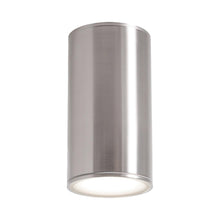 Load image into Gallery viewer, Everly Outdoor LED Flush Mount Ceiling Light in Satin Nickel (Large).
