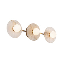 Load image into Gallery viewer, Dahlia LED Wall Light in Vintage Brass (3-Light).
