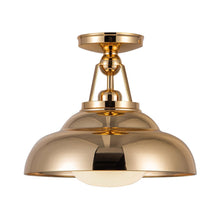 Load image into Gallery viewer, Palmetto Semi Flush Mount Ceiling Light.
