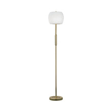 Load image into Gallery viewer, Pear LED Floor Lamp.
