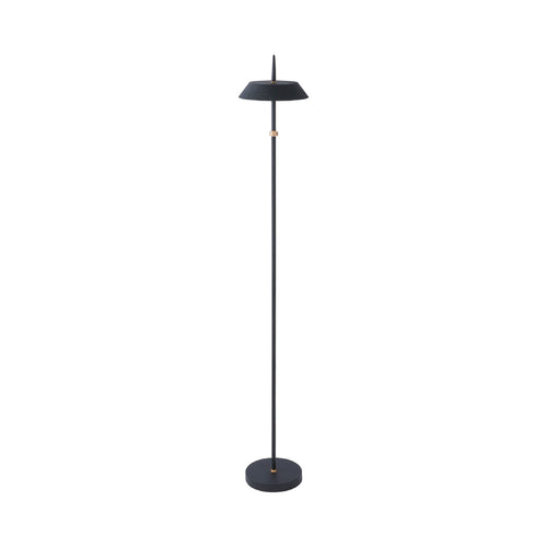 Santa Monica LED Floor Lamp.