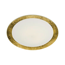 Load image into Gallery viewer, Vancouver LED Flush Mount Ceiling Light in Gold (Large).
