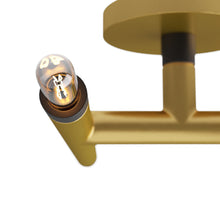 Load image into Gallery viewer, Ballard Flush Mount Ceiling Light in Detail.
