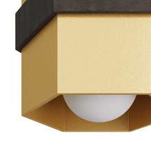 Load image into Gallery viewer, Bristol Flush Mount Ceiling Light in Detail.

