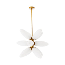 Load image into Gallery viewer, Starling Chandelier in Detail.
