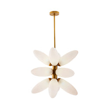 Load image into Gallery viewer, Starling Chandelier in Detail.

