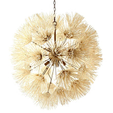 Load image into Gallery viewer, Winona Chandelier in Detail.
