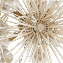 Load image into Gallery viewer, Winona Chandelier in Detail.
