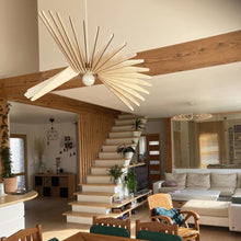 Load image into Gallery viewer, Albatros Pendant Light in living room.
