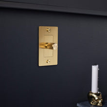 Load image into Gallery viewer, 1G Dimmer Switch in Detail.
